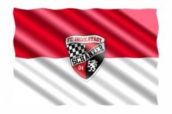 爱游戏网站-拜仁慕尼黑力克多特蒙德 斩获德甲强队之间的巅峰对决，德国超级杯拜仁慕尼黑vs多特蒙德