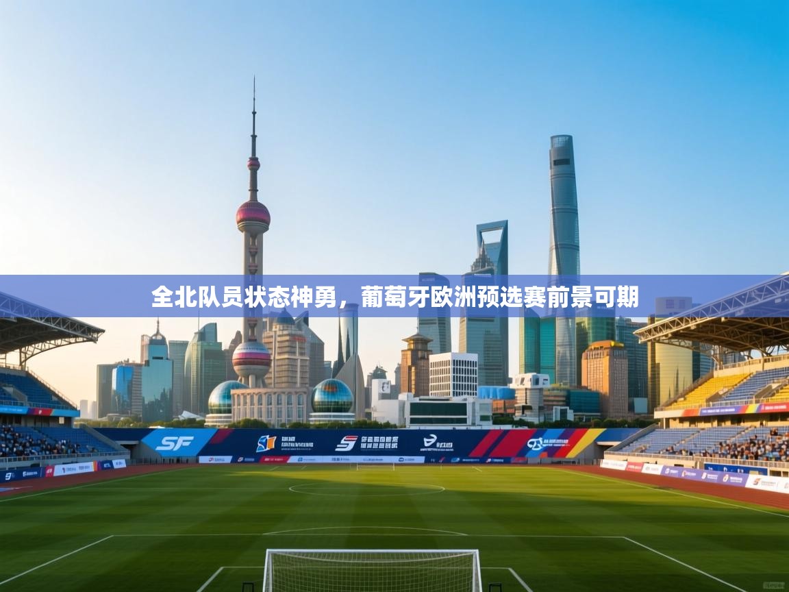 全北队员状态神勇，葡萄牙欧洲预选赛前景可期
