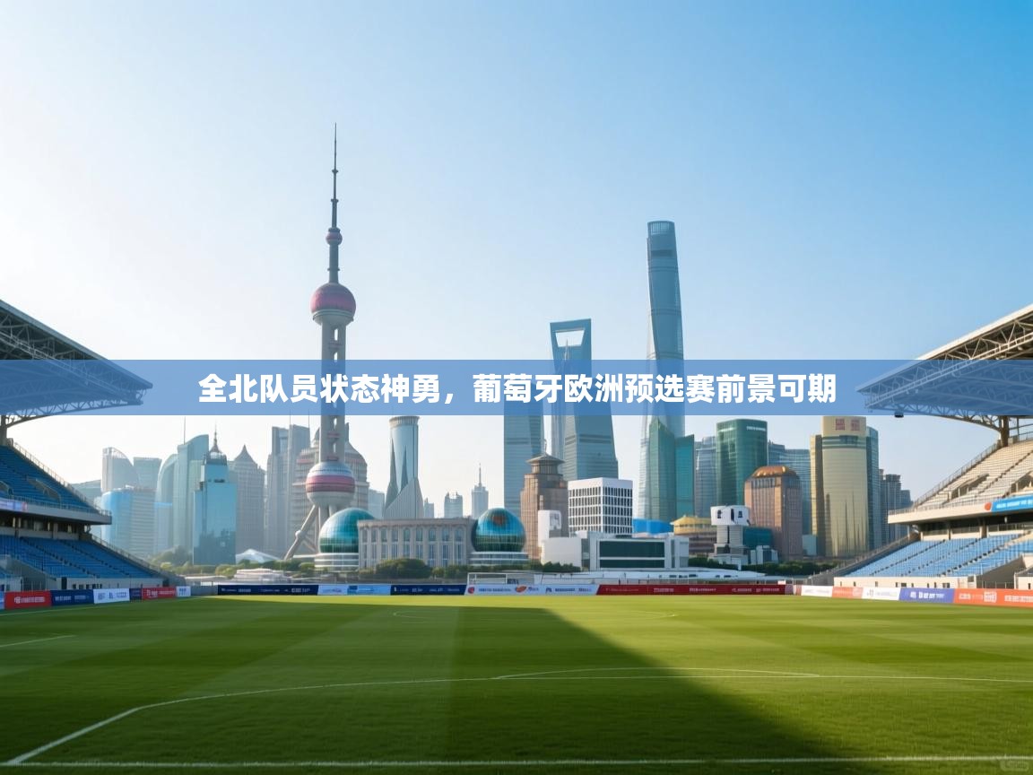 全北队员状态神勇，葡萄牙欧洲预选赛前景可期  第2张