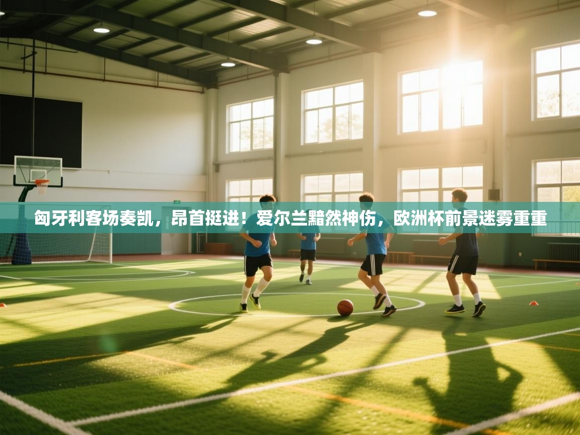 匈牙利客场奏凯,昂首挺进!爱尔兰黯然神伤,欧洲杯前景迷雾重重 第2张