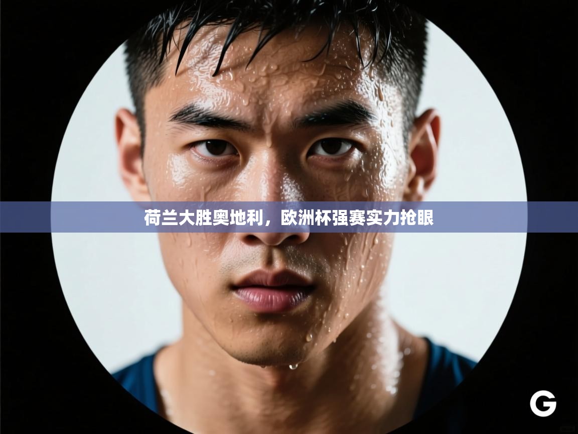 荷兰大胜奥地利，欧洲杯强赛实力抢眼  第1张