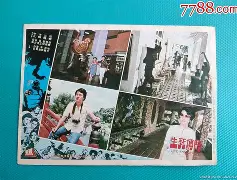 生死搏斗！选手临危不惧风雨兼程的简单介绍
