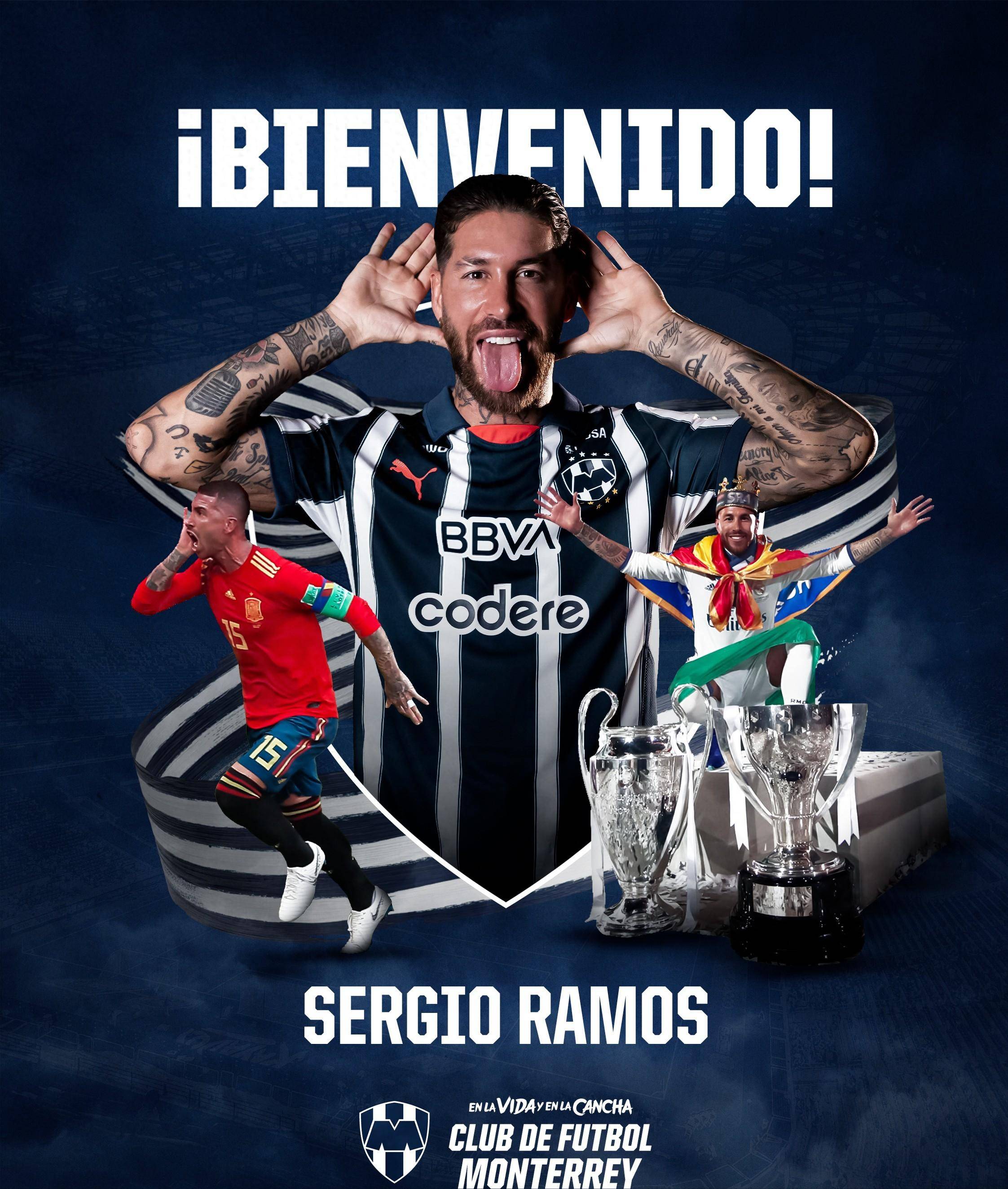 关于足球行业新动向：球迷热议的球星表现亮眼，备受关注的信息